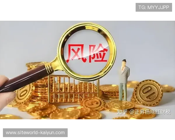 第三方评估机构深度介入风险审计 提升了大型赛事运营的合规透明度